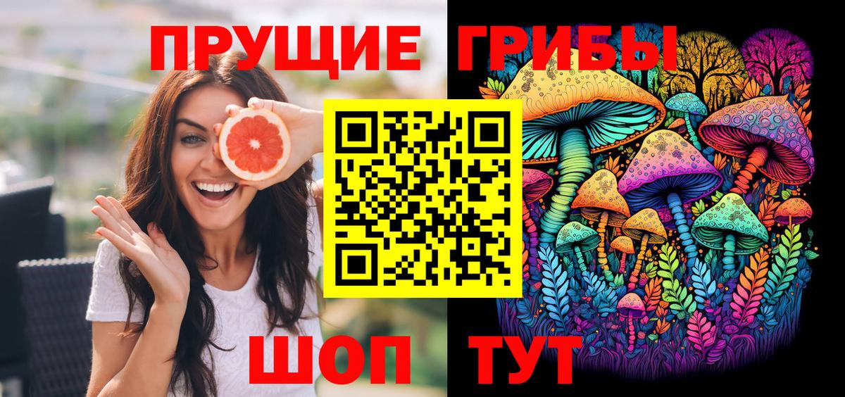 Заводоуковск  Галлюциногенные грибы GOLDEN TEACHER  Псилоцибиновые грибы мицелий  купить наркотики цена  Вход с VPN 
